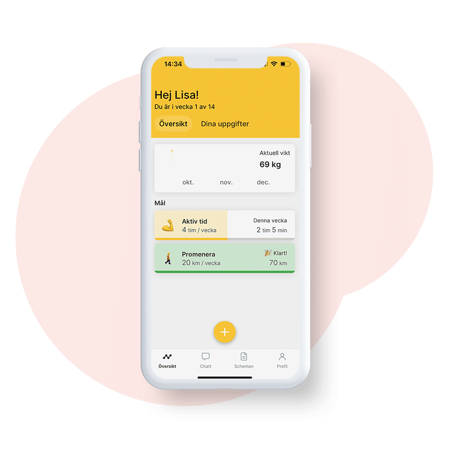 iphone-dashboard-training-app